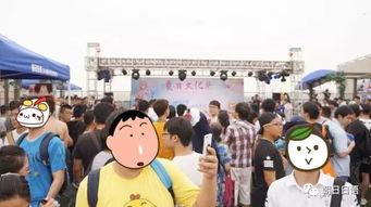 吃瓜群众在线围观朝阳,吃瓜群众在线围观大戏上演